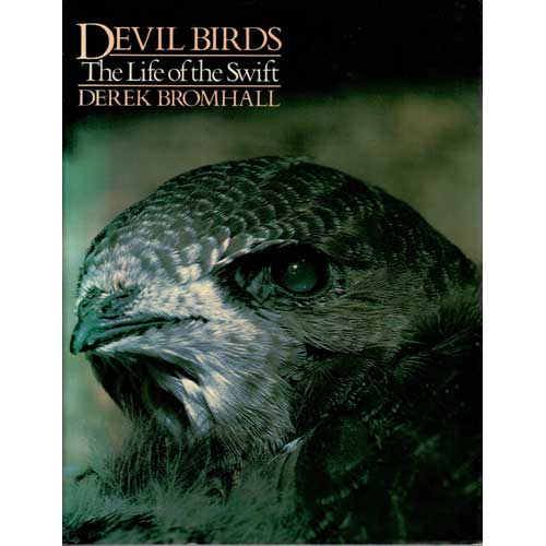 Item #D535 Devil Birds: The Life of the Swift. Derek Bromhall.