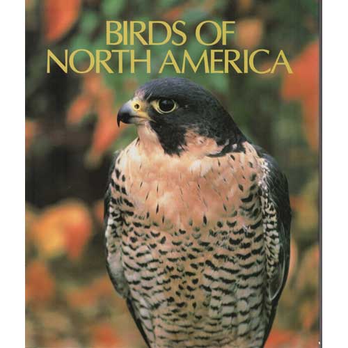 Item #E131 Birds of North America. Peter N. Casey.