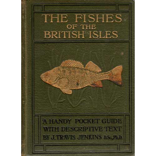 Item #E148 The Fishes of The British Isles- Both Fresh Water and Salt [First Edition]. T. Travis Jenkins.