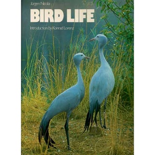 Item #E169 Bird Life. Jurgen Nicolai