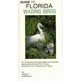 Item #E180 Guide to Florida Wading Birds. Robert Anderson