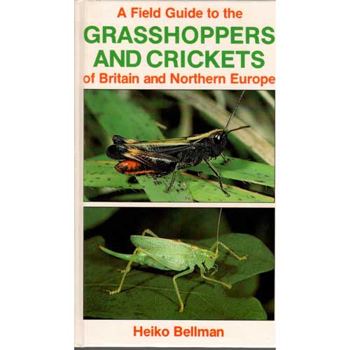 Item #E244 A Field Guide to Grasshoppers and Crickets of Britain and Northern Europe. Heiko Bellman.