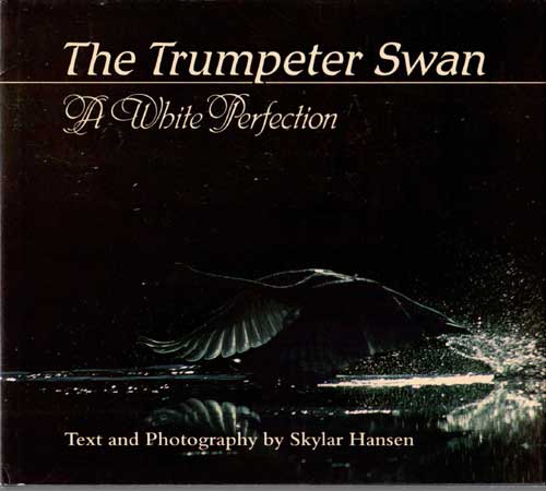 Item #E349 The Trumpter Swan-A White Perfection. Skylar Hansen.