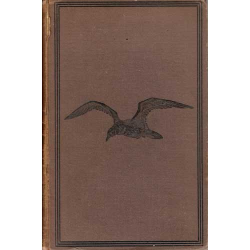Item #E488 The Birds of Cornwall and Scilly Islands. Edward Hearle Rodd.