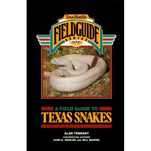 Item #F079 A Field Guide to Texas Snakes. Alan Tennant.