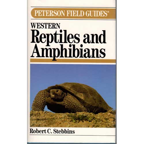 Item #F186 A Field Guide To Western Reptiles and Amphibians. Second Edition. Robert C. Stebbins.