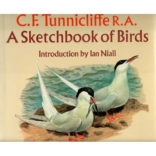 Item #F219 A Sketchbook of Birds. Charles Tunnicliffe.