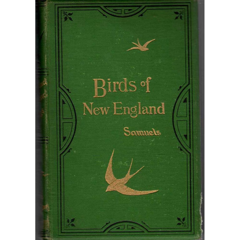 Item #G225 The Birds of New England and Adjacent States. Edward A. Samuels.
