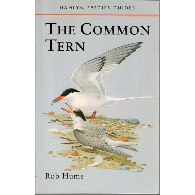 Item #G239 The Common Tern. Rob Hume.