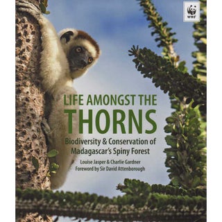 Item #G311 Life Amongst The Thorns Biodiversity & Conservation of Madagascar's Spiny Forest....