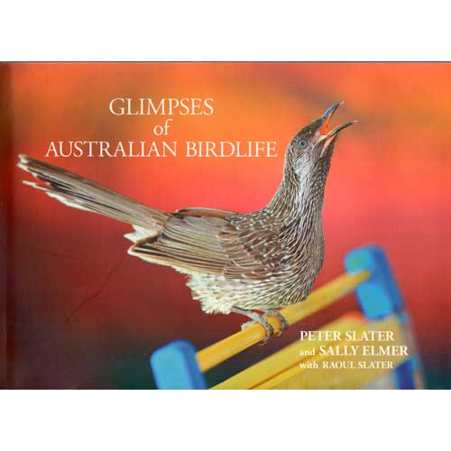 Item #G337 Glimpses of Australian Birdlife. Peter Slater, Sally Elmer.