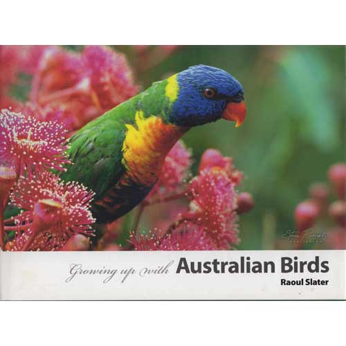 Item #G338 Growing Up with Australian Birds. Raoul Slater.