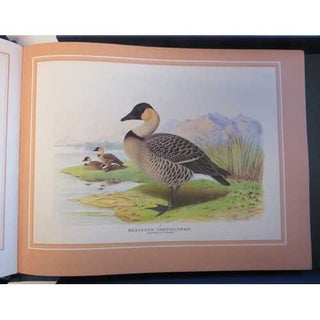 The Wildfowl Paintings of Henry Jones