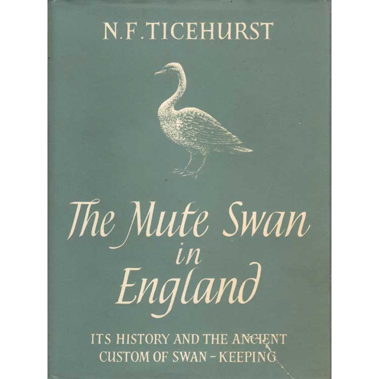 Item #G361 The Mute Swan in England. N. F. Ticehurst.