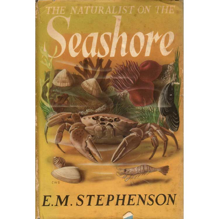 Item #G412 The Naturalist on the Seashore. E. M. Stephenson.
