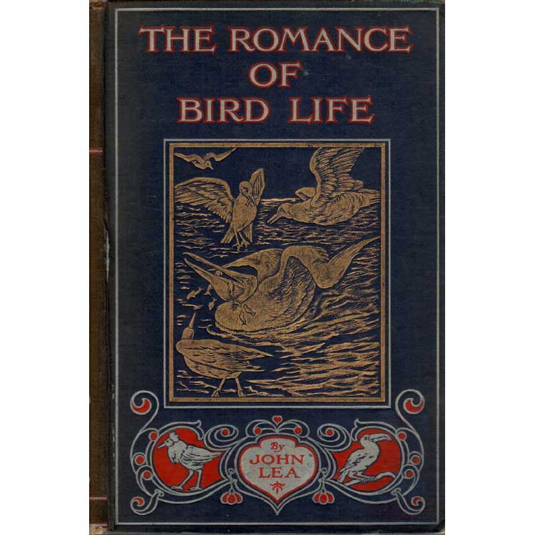 Item #H019 The Romance of Bird Life. John Lea.