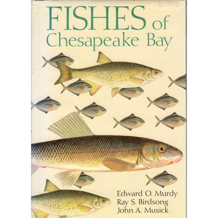 Item #H029 Fishes of Chesapeake Bay. Edward O. Murdy, Ray S. Birdsong, John A. Musick.