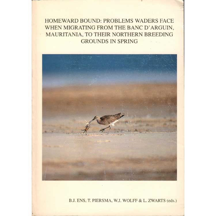 Item #H042 Homeward Bound: Problems Waders Face when Migrating from the Banc d'Arguin, Mauritania. B. J. Ens, T. Piersma, W J. Wolff, L. Zwarts.