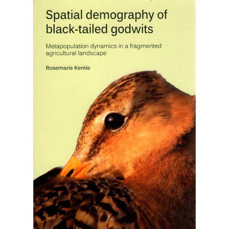 Item #H045 Spatial Demography of Black-tailed Godwits. Rosemarie Kentie.