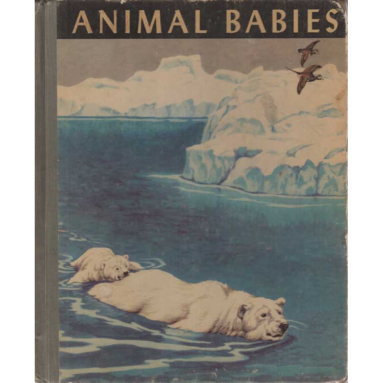 Item #H133 Animal Babies. Margaret Jean Bauer.