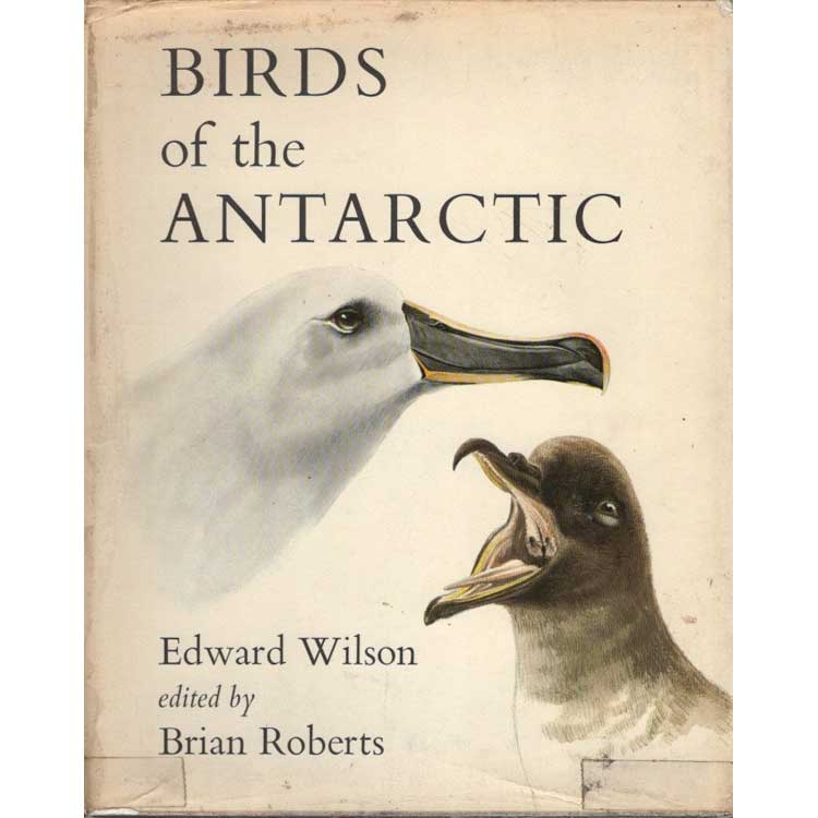 Item #H157 Birds of the Antarctic. Edward Wilson.
