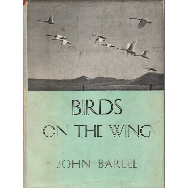 Item #H177 Birds on the Wing. John Barlee.