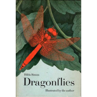 Item #H233 Dragonflies. Hilda Simon