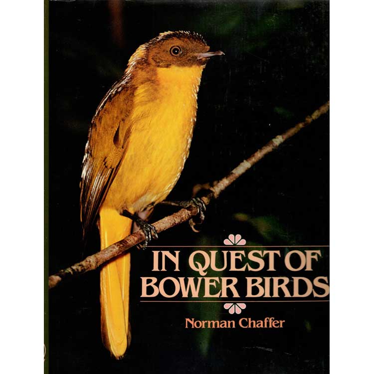 Item #H255 In Quest of Bowerbirds. Norman Chaffer.