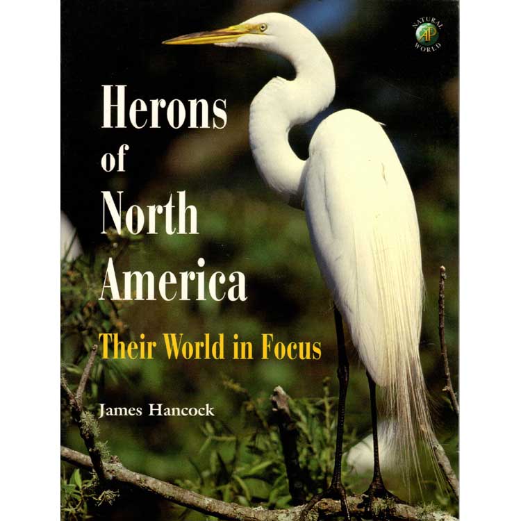 Item #H342 Herons of North America- Their World in Focus. James Hancock.
