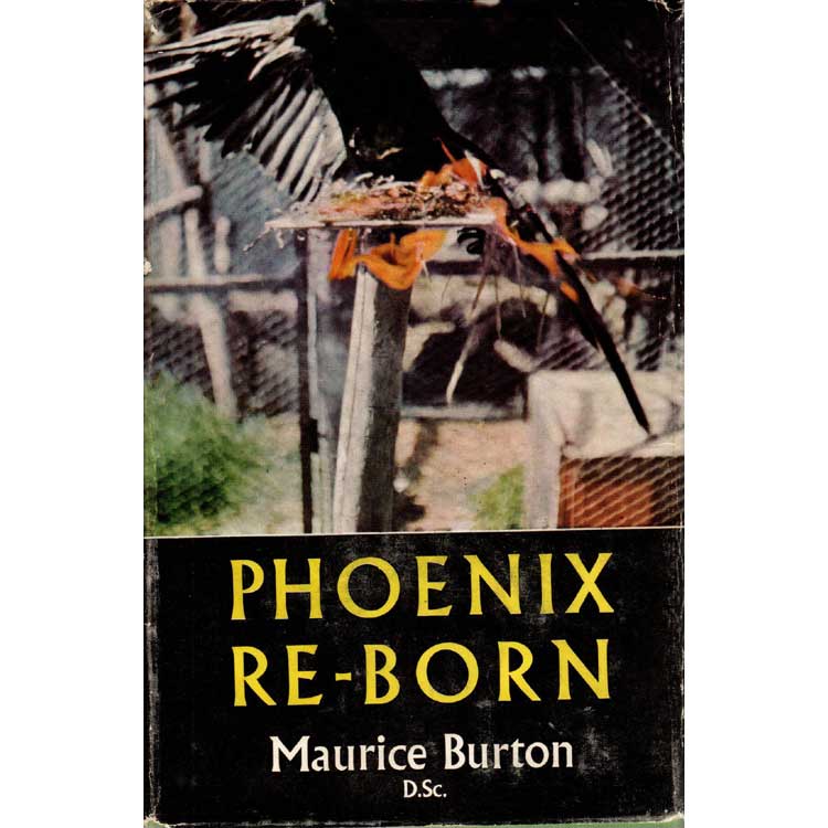 Item #H358 Phoenix Re-Born. Maurice Burton.