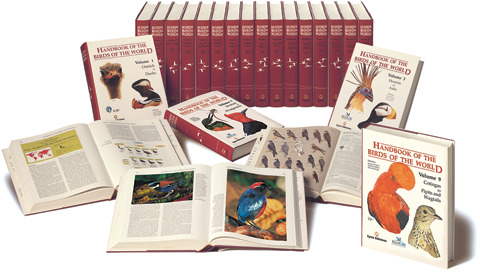 Item #HBWSET Handbook of the Birds of the World, Volumes 1 through 16. Complete set. Josep DEL HOYO, Andrew ELLIOTT, Jordi SARGATAL, Stuart Butchart, Nigel Collar, Alison Stattersfield, Leon Bennun.