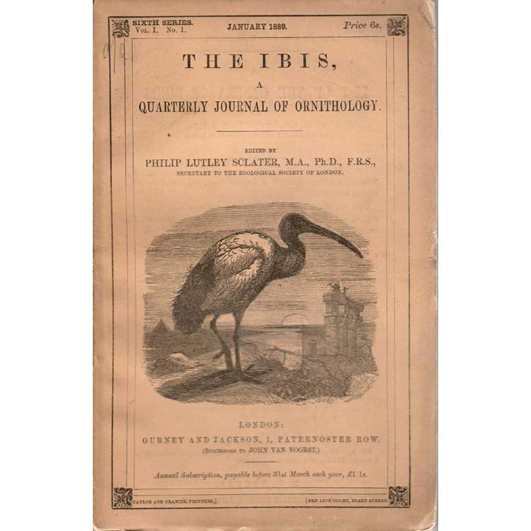Item #Ibis1889Jan On the Ornithology of Northern Borneo. R. Bowdler Sharpe.