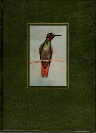 Item #J089 Hummingbirds. Crawford H. Greenewalt