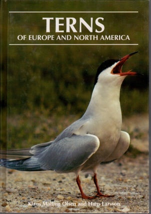 Item #J123 Terns of Europe and North America. Klaus Malling Olsen, Hans Larsson