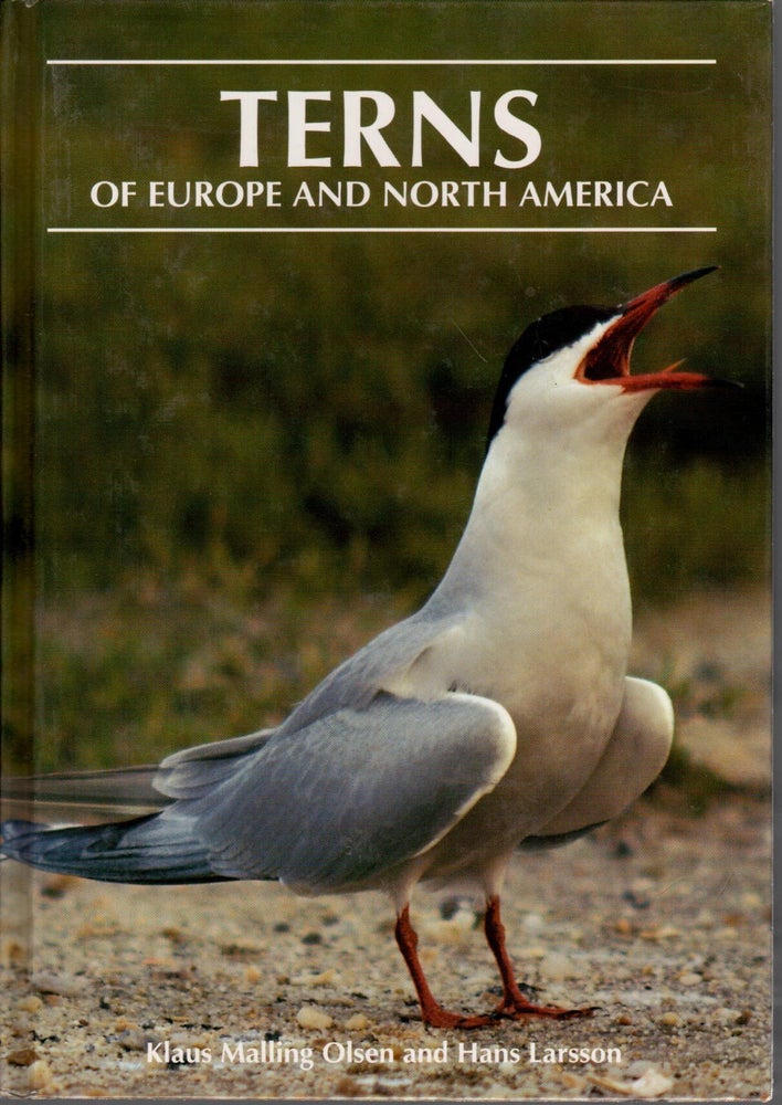 Item #J123 Terns of Europe and North America. Klaus Malling Olsen, Hans Larsson.