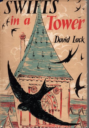 Item #K017 Swifts in a Tower. David Lack