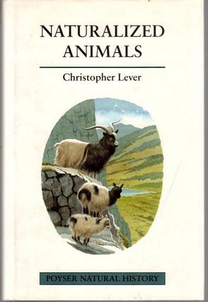 Item #K056 Naturalized Animals. Christopher Lever