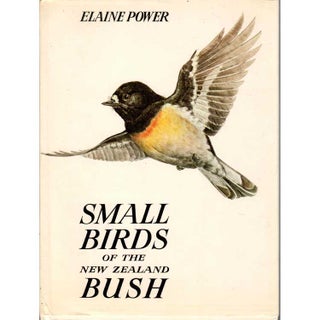 Item #KV1106146 Small Birds of the New Zealand Bush. Elaine Power