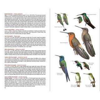 Field Guide to the Birds of Machu Picchu and the Cusco Region, Peru. Includes a Bird Finding Guide to the Area