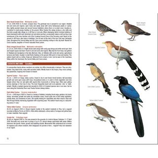 Field Guide to the Birds of Machu Picchu and the Cusco Region, Peru. Includes a Bird Finding Guide to the Area