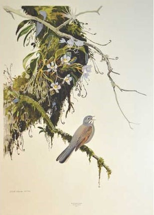Item #PRBBSO George Miksch Sutton Limited Edition Print: Mexican Bird Portraits: Brown-backed...