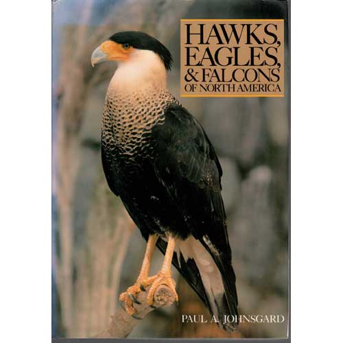 Item #R0112302 Hawks, Eagles and Falcons of North America: Biology and Natural History. Paul A. Johnsgard.