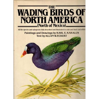 Item #R11012004 The Wading Birds of North America. Allan W. Eckert