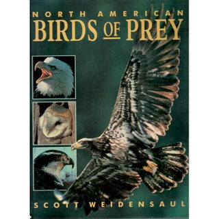 Item #R11021704 North American Birds of Prey. Scott Weidensaul