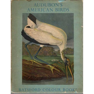 Item #R11022404 Audubon's American Birds. Sacheverell Sitwell