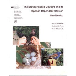 Item #R11051614 The Brown-Headed Cowbird and Its Riparian-Dependant Hosts in New Mexico. Sara H. Schweitzer, Deborah M. Finch, David M. Jr Leslie.