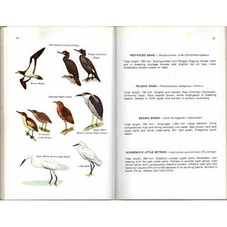 Birds in Japan: A Field Guide