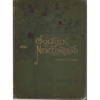 Item #R1408291 Oology of New England. Edwin A. Capen