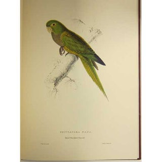 Illustrations of the Family of Psittacidae, or Parrots