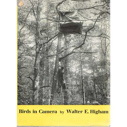 Item #R14092304 Birds in Camera. Walter E. Higham.